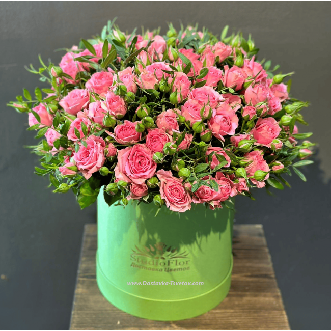 Цветы Розовые кустовые розы "Николь"
