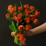 21 пионовидный тюльпан