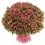 Розы кустовые "Розовая Долина"