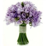 Сиреневые фрезии "Эверест"