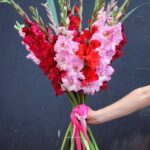 Розовые и красные гладиолусы