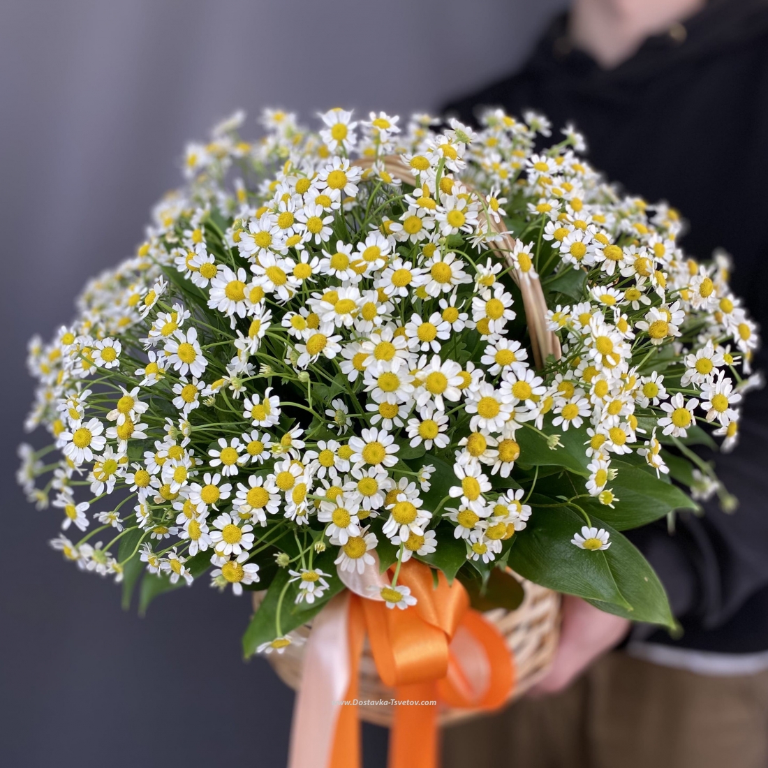 Корзинка ромашек "Созвездие Ангела"
